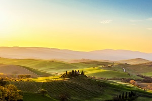 bestemmingen-oktober-olijvenoogst-toscane