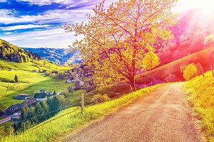 Reiseziele März_Wellnessurlaub_Münstertal_Schwarzwald