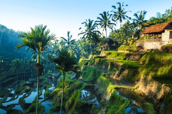 Bali tips Ubud