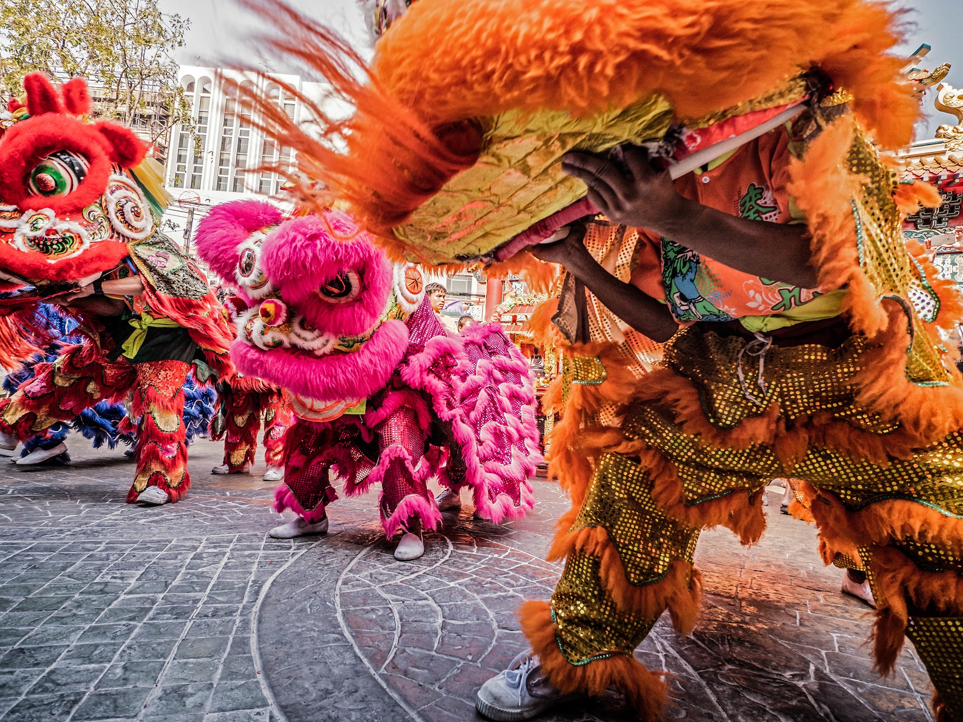 Chinesischen Neujahr Chinesischen Neujahr