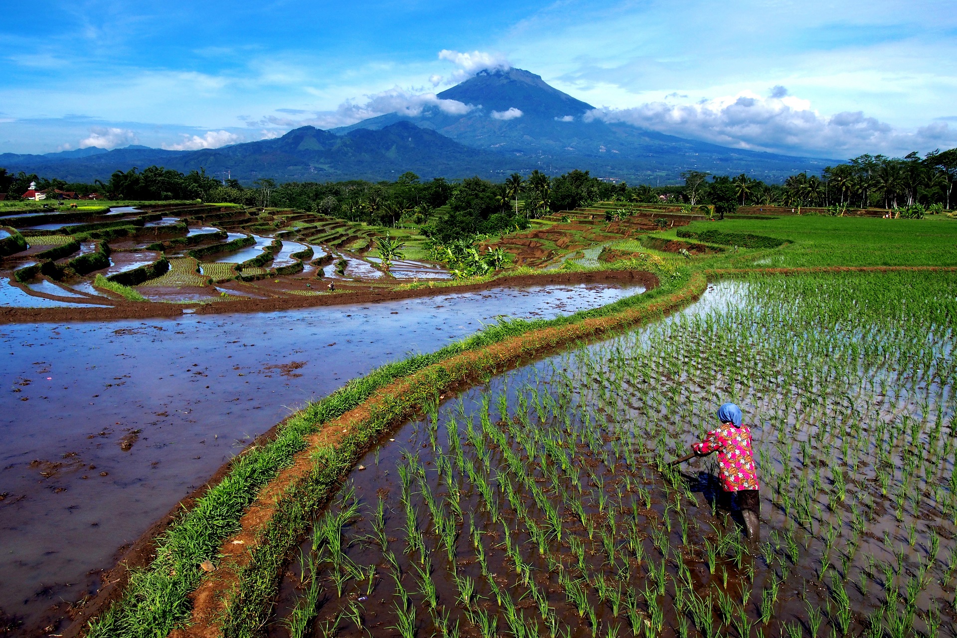 Die indonesische Insel  Java  Ein Mix der Kulturen 