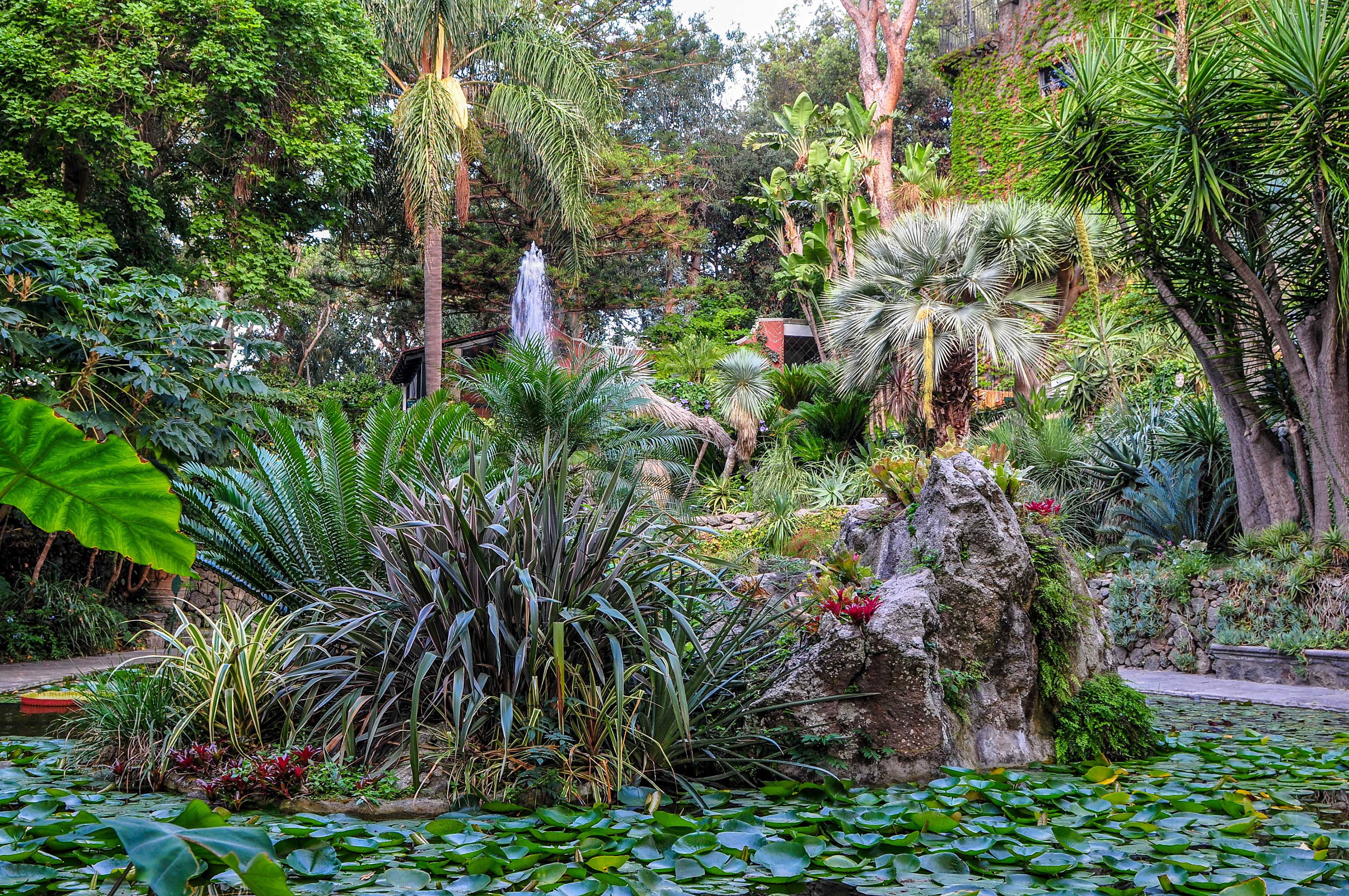 Ischia Garten