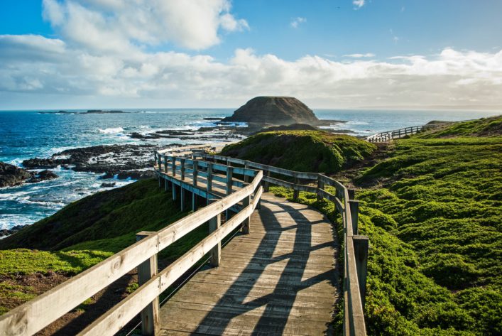 Australien Roadtrip Phillip Island