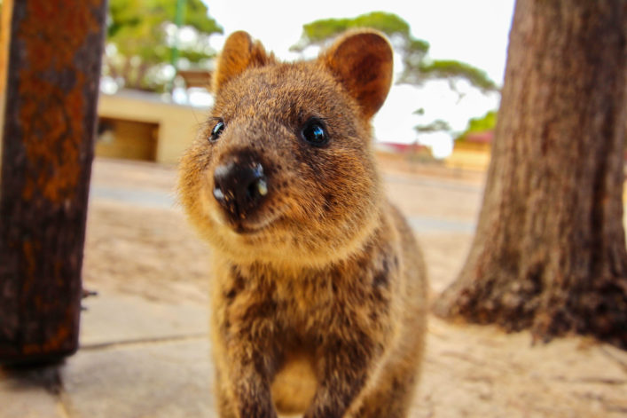 Australien Roadtrip