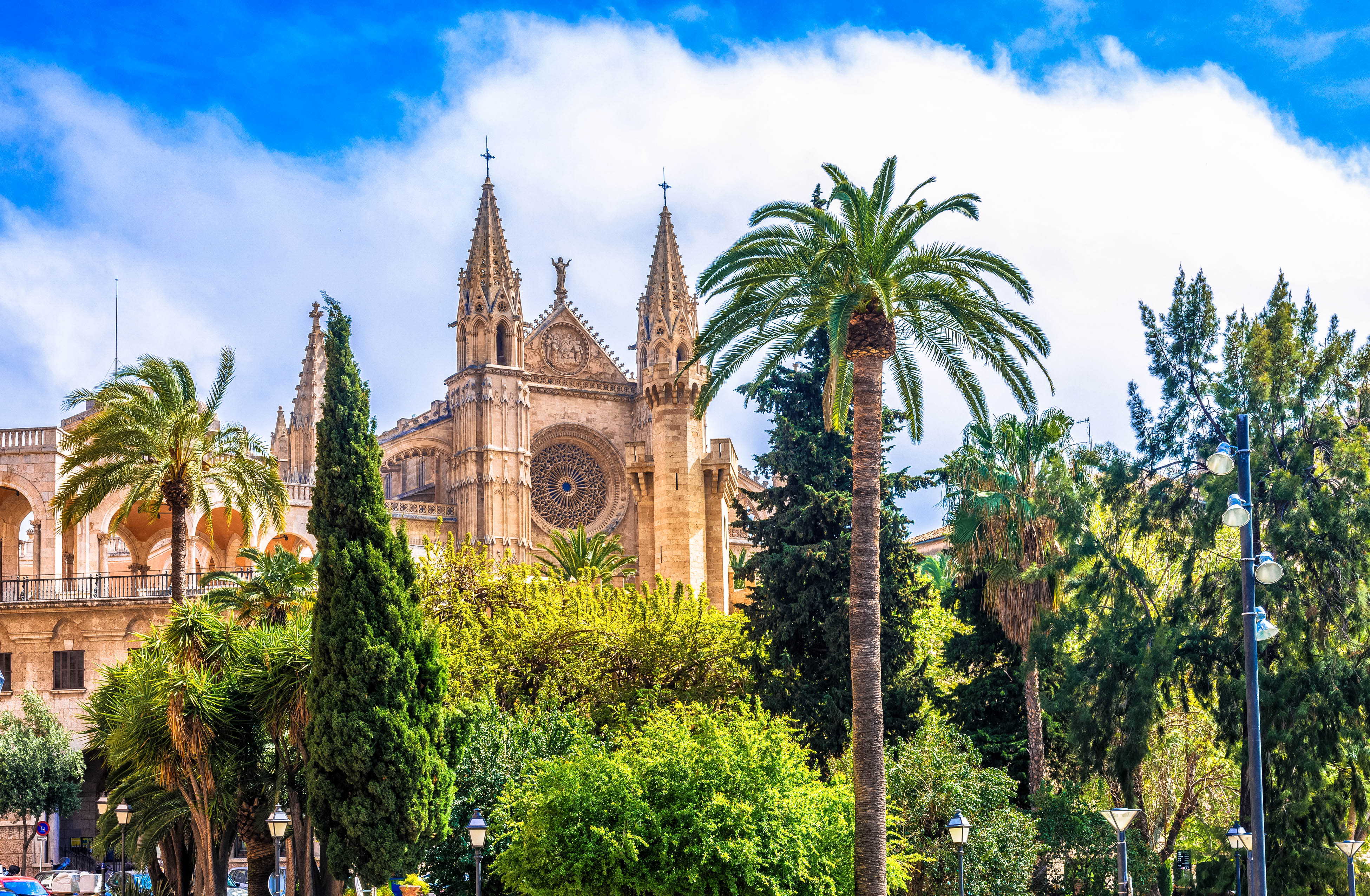 Palma de Mallorca ist vielseitig & wunderschön Urlaubsguru