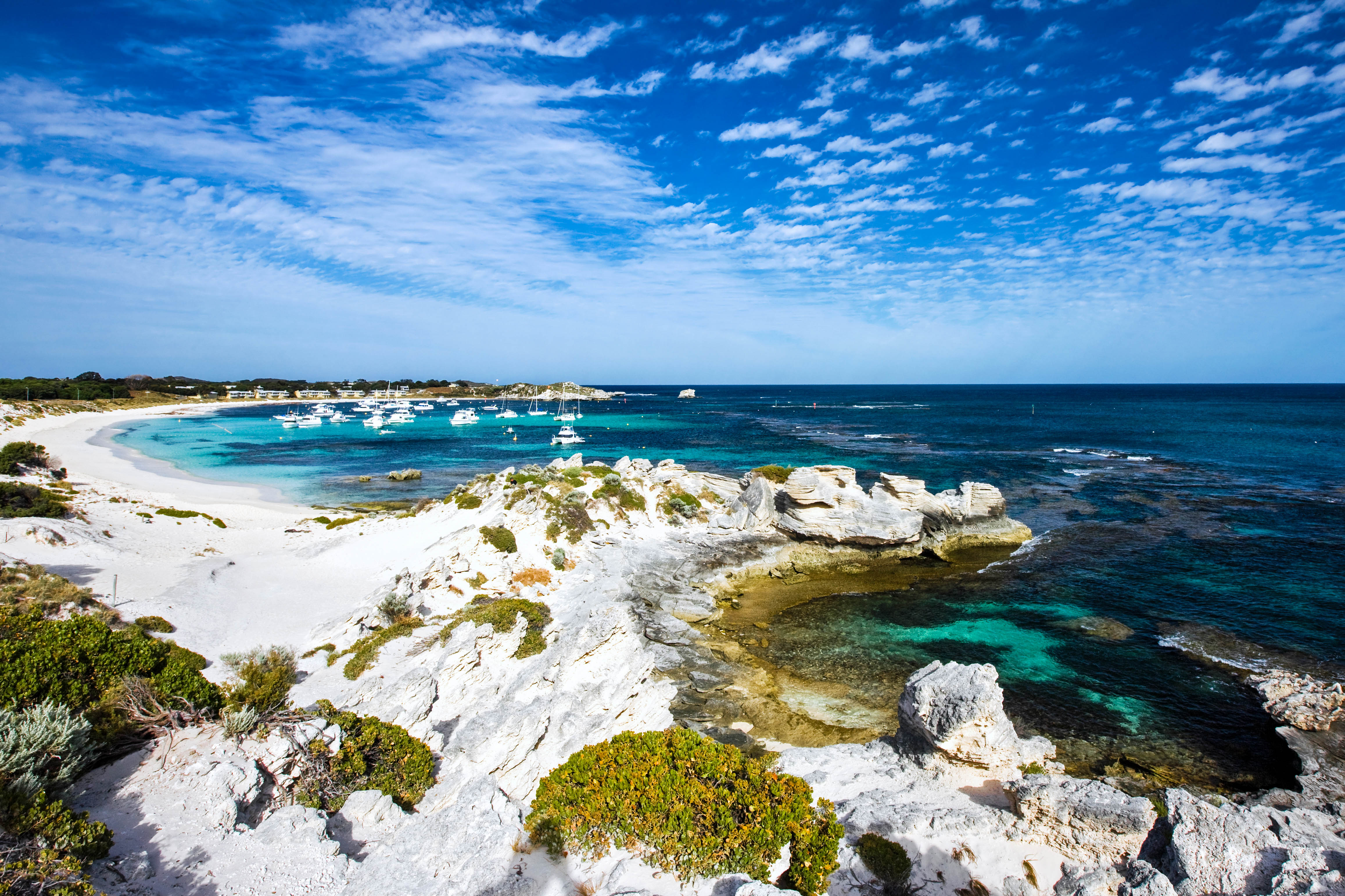 Rottnest Island - Heimat der Quokka | Urlaubsguru.de