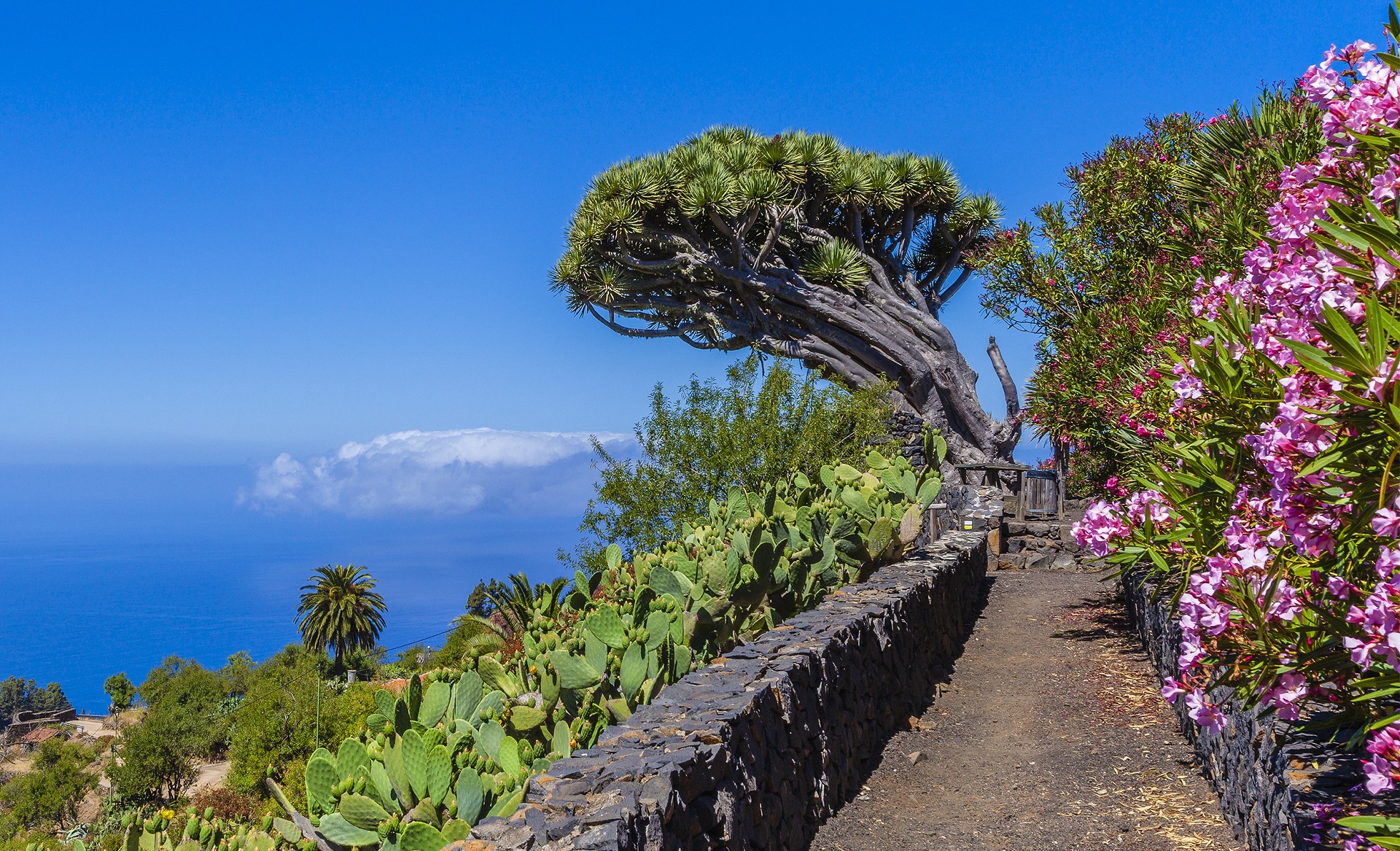 La Palma die Insel des ewigen Frühlings Urlaubsguru.de