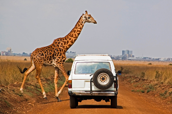 Safari in Kenia