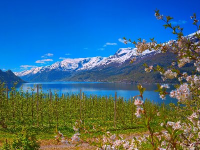 Fjord Noorwegen