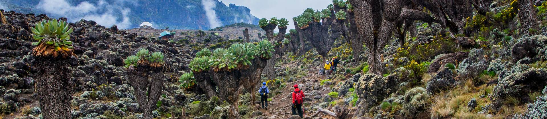 hiking op de Kilimanjaro