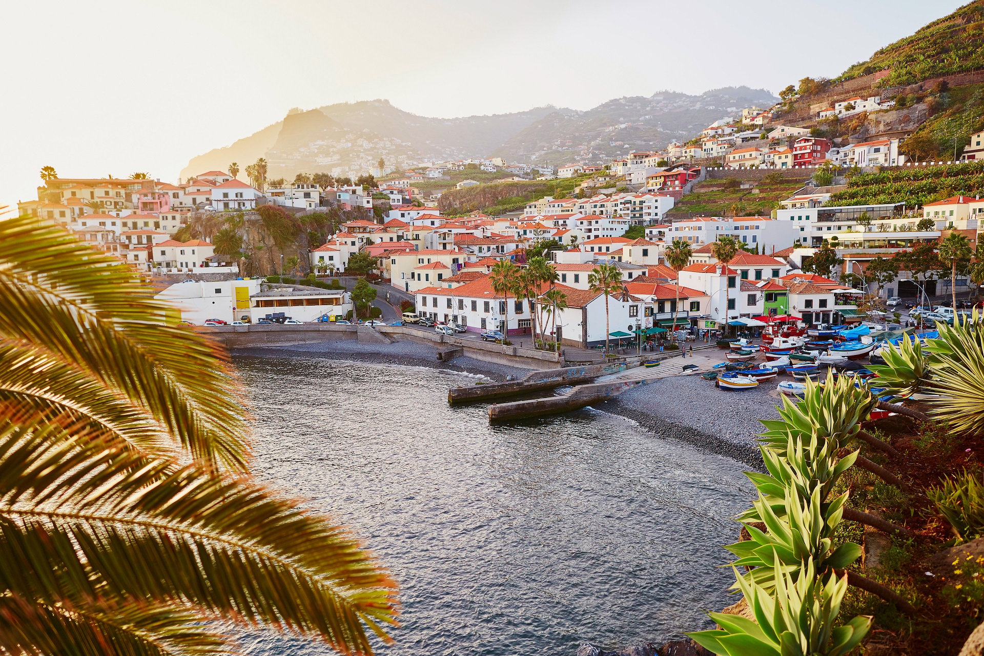 Madeira Tipps - Urlaub auf der portugiesischen Blumeninsel  Urlaubsguru