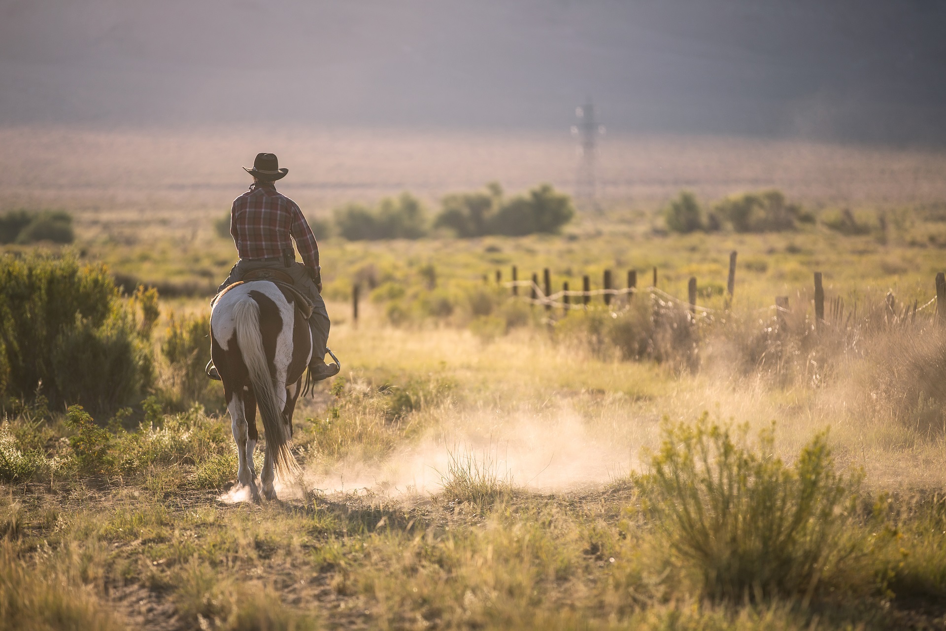 Cowboys kennenlernen