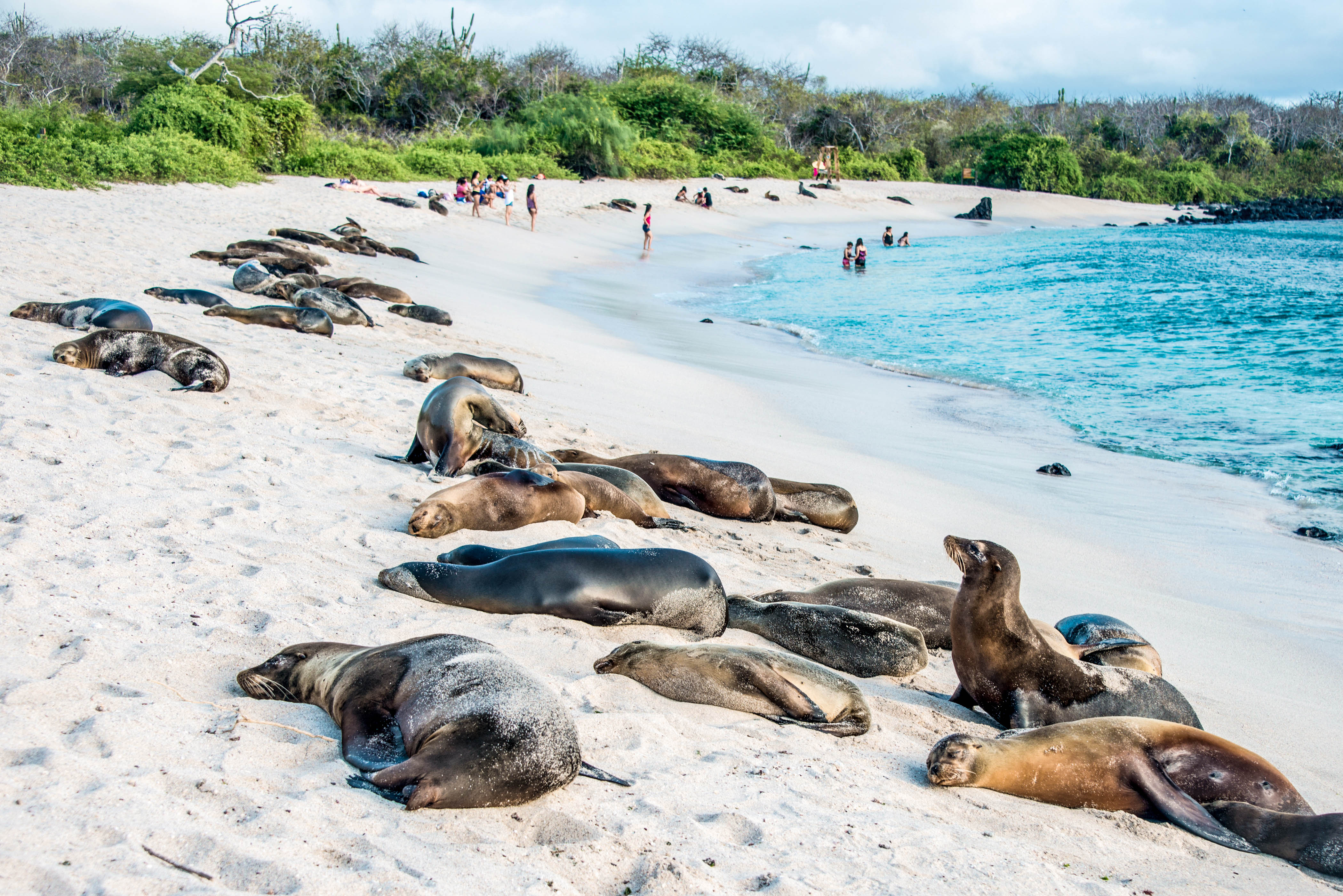 Beste reistijd Galapagos