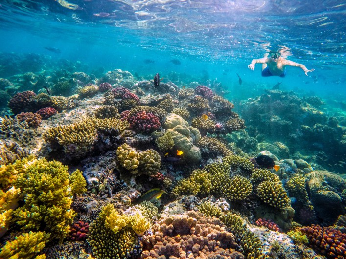 Schnorcheln im Roten Meer
