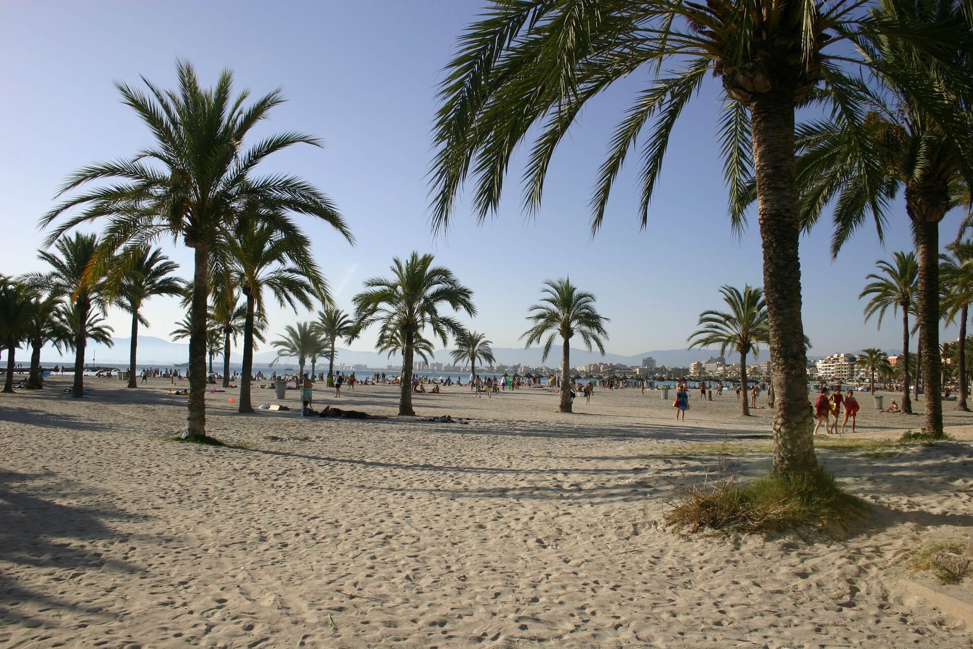 Tipps euren Urlaub in El Arenal Urlaubsguru