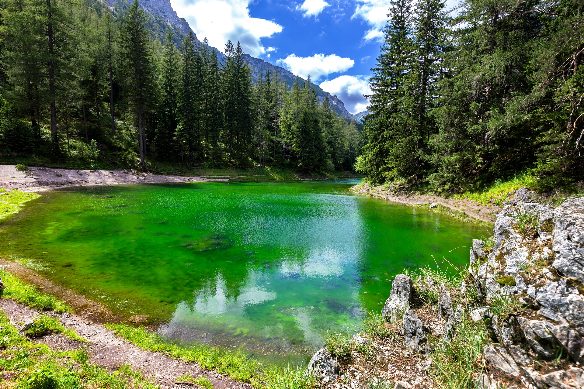 Geheimnisvoller Grüner See in Österreich Urlaubsguru