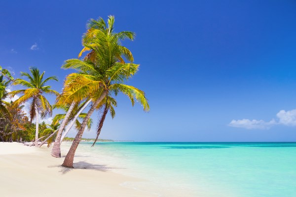 Beste reistijd Punta Cana