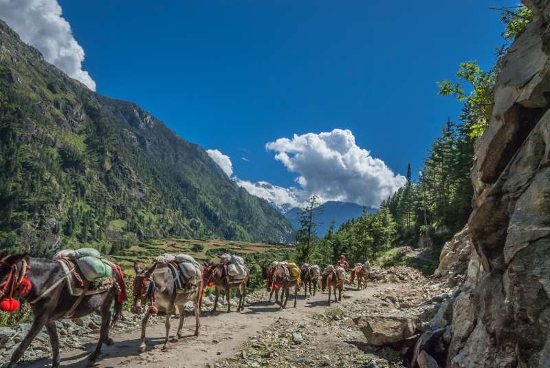 Een trekking trail in Nepal