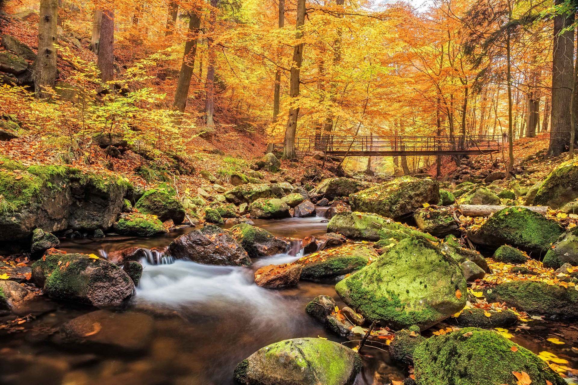 Sachsen-Anhalt Urlaub  deutschlandLiebe by Urlaubsguru