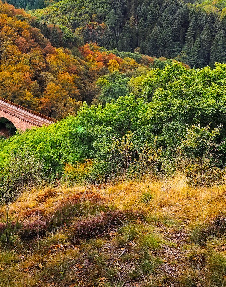 Rheinland-Pfalz