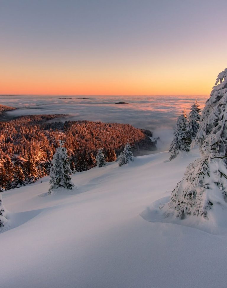 schwarzwald-black-forest-deutschland-iStock-623355412
