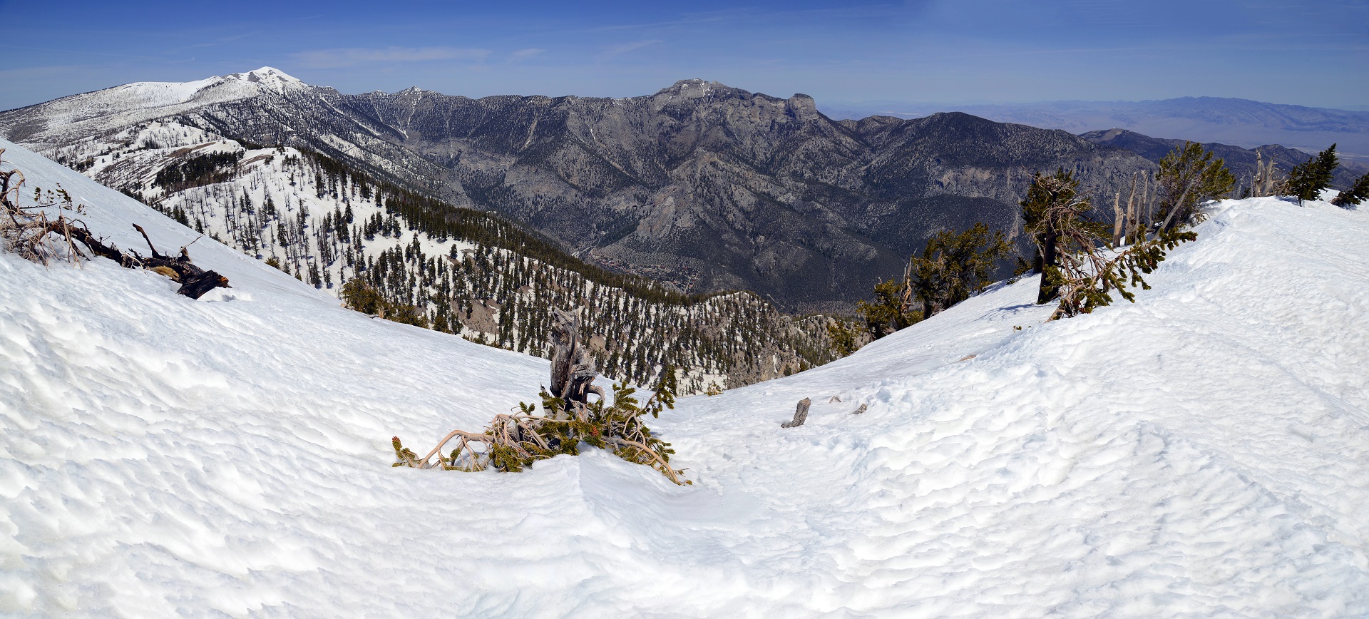 Ausflüge Las Vegas, Mount Charleston